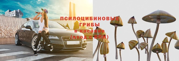 стафф Балахна